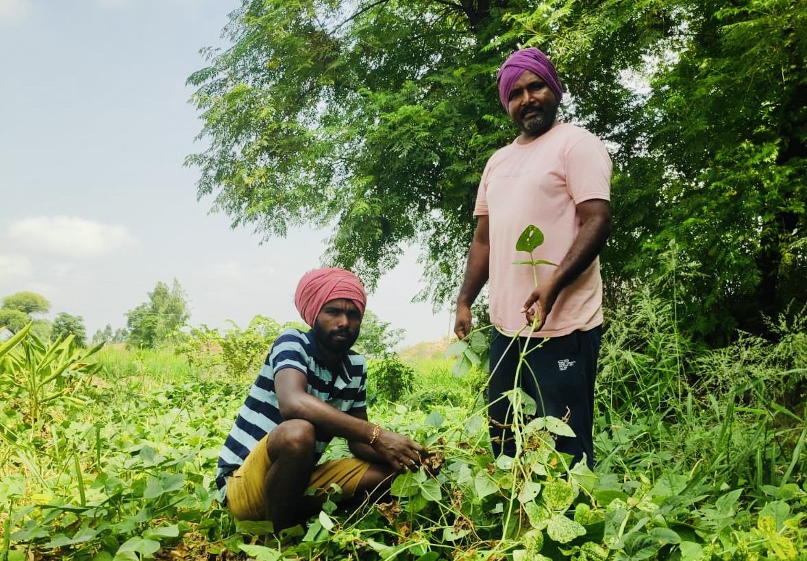 Farmer