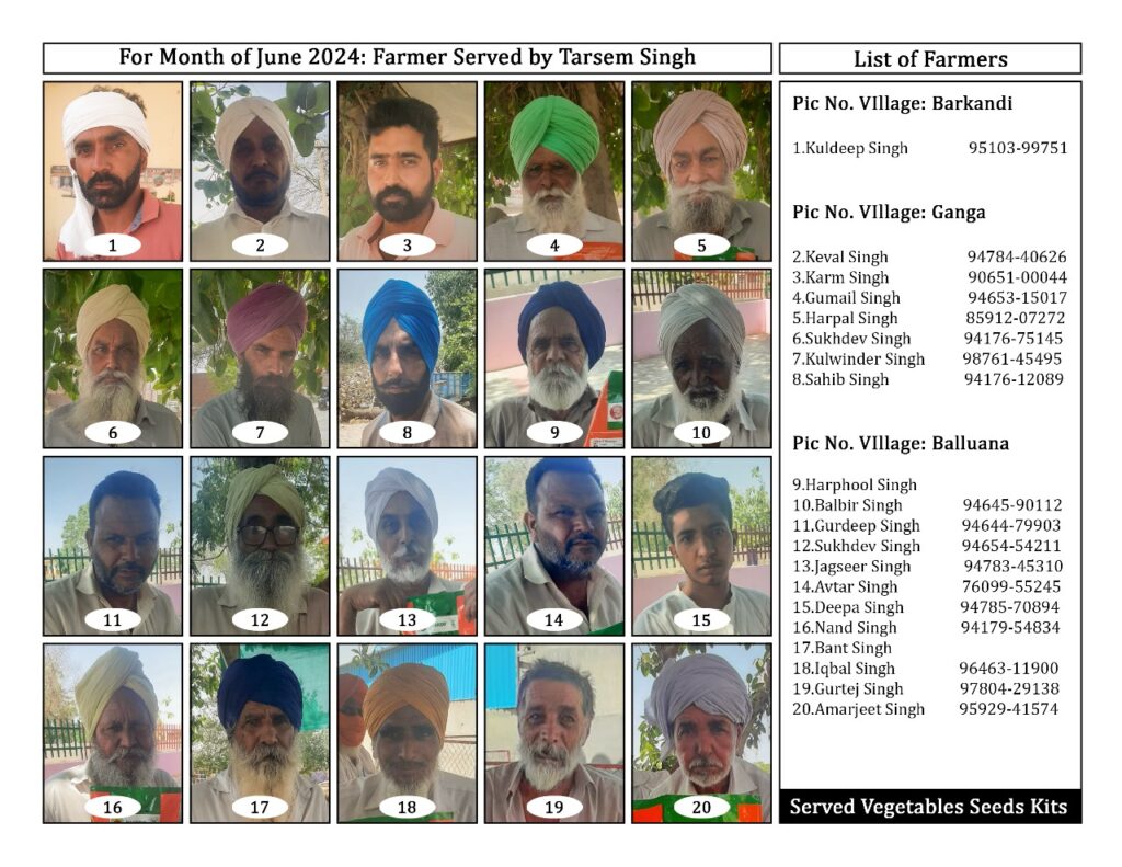 Served Vegetable Seeds Kits –  Farmer Served by Tarsem Singh