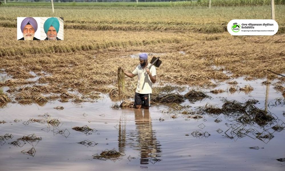 ਉਪਜਾਊ ਜ਼ਮੀਨ ਉਪਰ ਵਿਛੀ ਗਾਰ ਨਾਲ ਕਿਵੇਂ ਨਜਿੱਠੀਏ